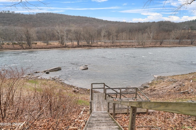 111 Riverbend Ln, Beach Lake, PA 18405 - water view featuring a forest view