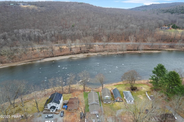 111 Riverbend Ln, Beach Lake, PA 18405 - aerial view with a forest view and a water and mountain view