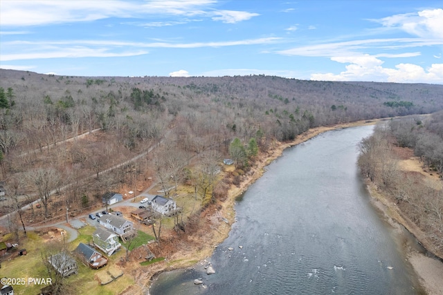 111 Riverbend Ln, Beach Lake, PA 18405 - birds eye view of property with a water view and a view of trees
