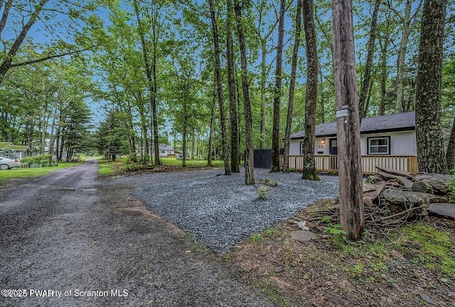 28 Holland Rd, Hawley, PA 18428 - view of yard