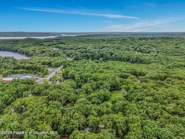 28 Holland Rd, Hawley, PA 18428 - bird's eye view of a forest