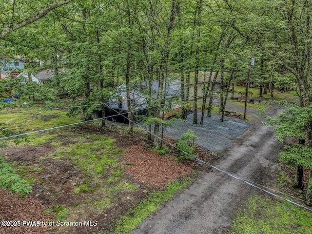 28 Holland Rd, Hawley, PA 18428 - view of yard