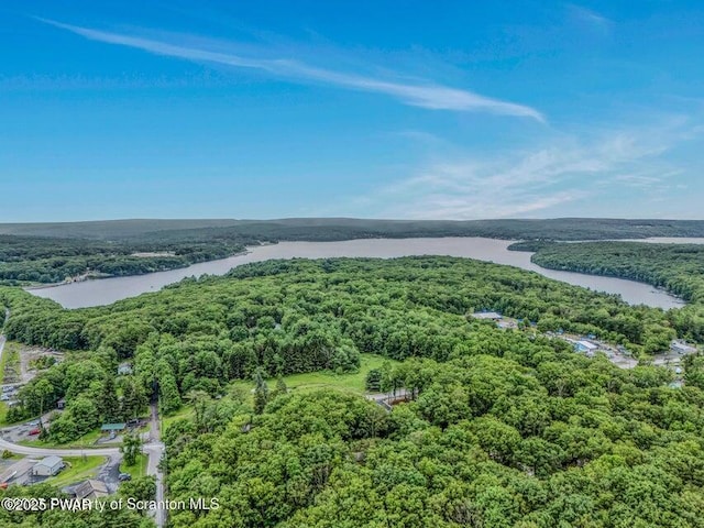 28 Holland Rd, Hawley, PA 18428 - drone / aerial view of a heavily wooded area and a nearby body of water