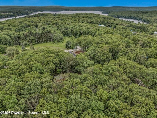 28 Holland Rd, Hawley, PA 18428 - view of property location featuring a forest and a large body of water