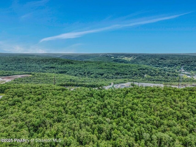 28 Holland Rd, Hawley, PA 18428 - drone / aerial view of a forest