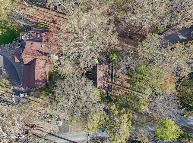 bird's eye view