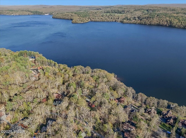 aerial view with a view of trees and a water view