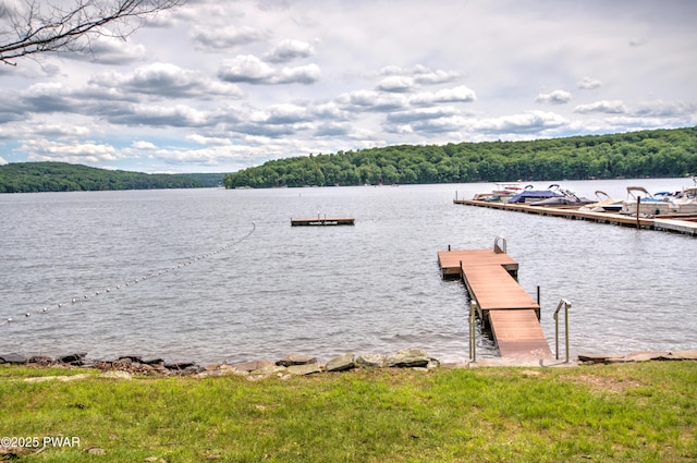 dock area featuring a view of trees and a water view