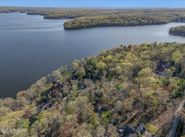 drone / aerial view featuring a water view and a wooded view