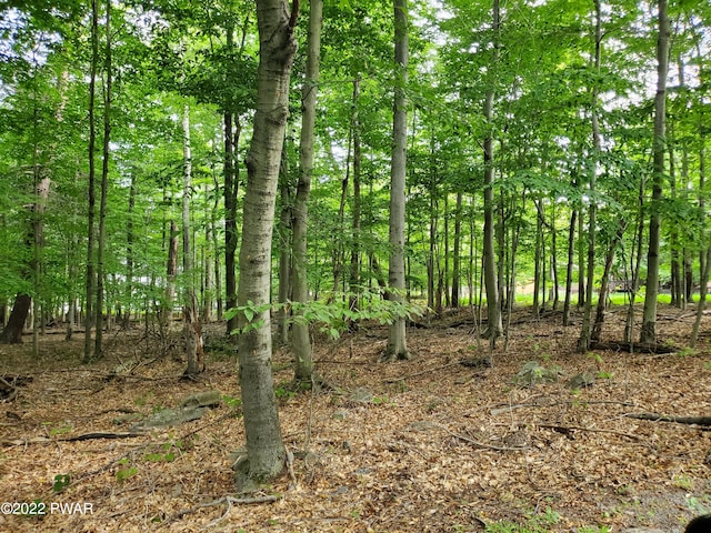 LOT686A Hickory Ln, Greentown PA, 18426 land for sale