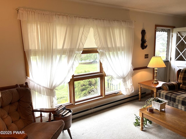 living area featuring plenty of natural light, carpet flooring, and baseboard heating