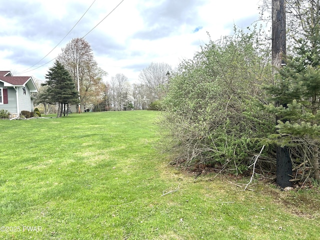 view of yard