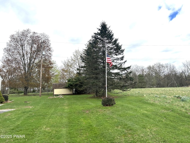 view of yard