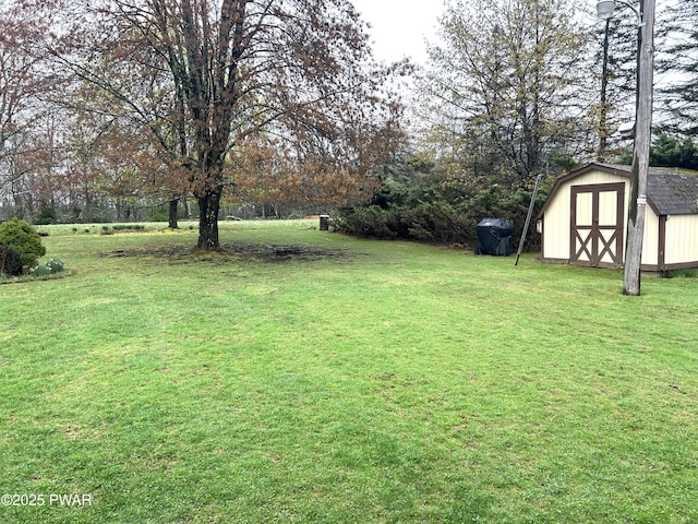 view of yard featuring a shed and an outbuilding