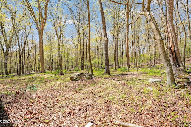 view of landscape featuring a forest view