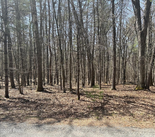141 Hawks Nest Dr, Hawley, PA 18428