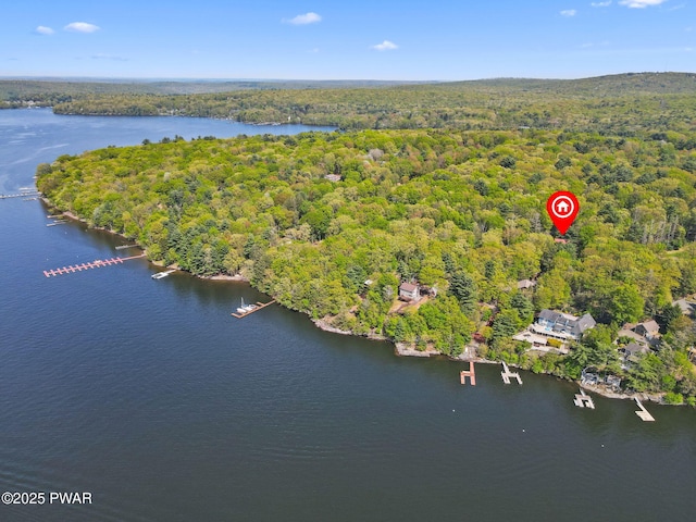 128 Timber Ln, Tafton, PA 18464 - drone / aerial view of a forest and a large body of water
