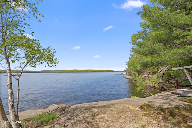 128 Timber Ln, Tafton, PA 18464 - water view