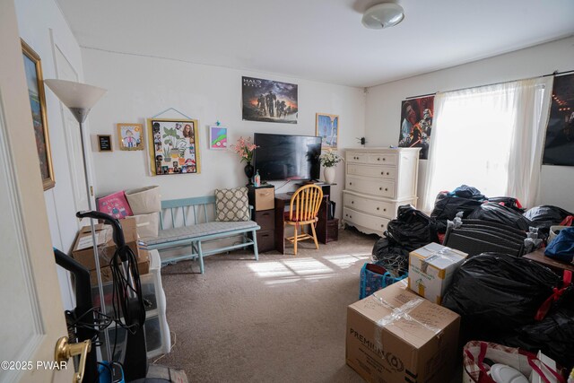 living area with carpet flooring