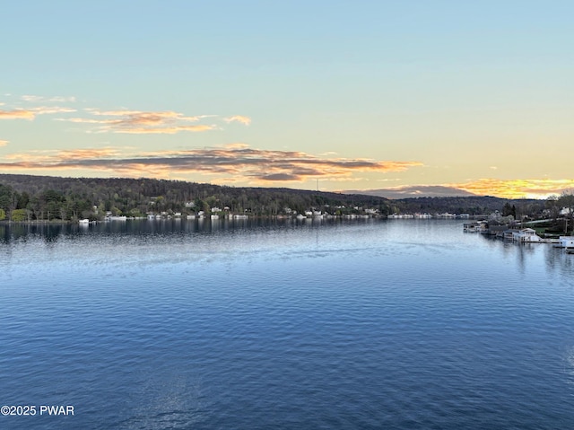 2633 Lakeside Dr, Harveys Lake, PA 18618 - photo 92