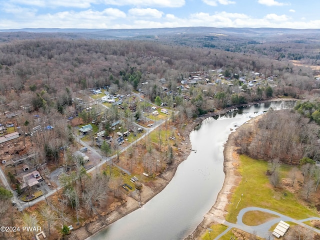 114 Fifth St, Greentown, PA 18426 - drone / aerial view with a water view
