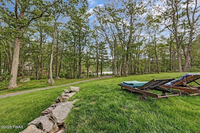 105 Rimrock Ln, Lords Valley, PA 18428 - photo 75