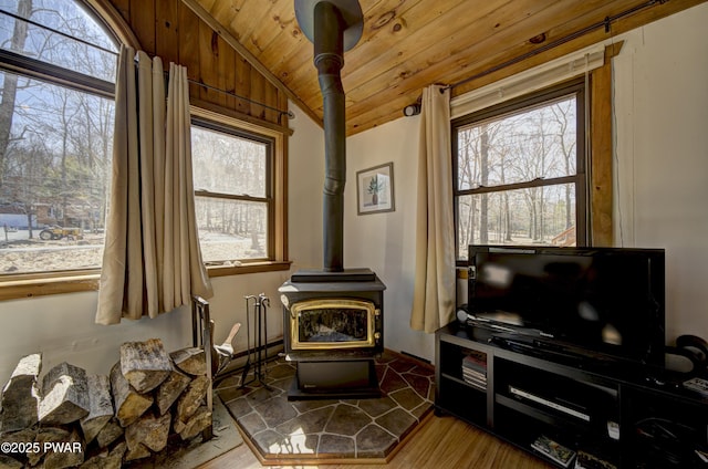 109 Pebble Rock Rd, Lackawaxen, PA 18435 - sitting room featuring wood finished floors, wooden ceiling, lofted ceiling, and a wood stove