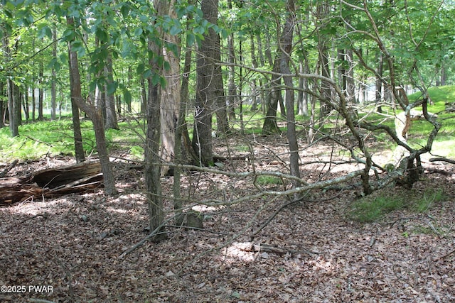 LOT28 N Forrest Dr, Milford, PA 18337