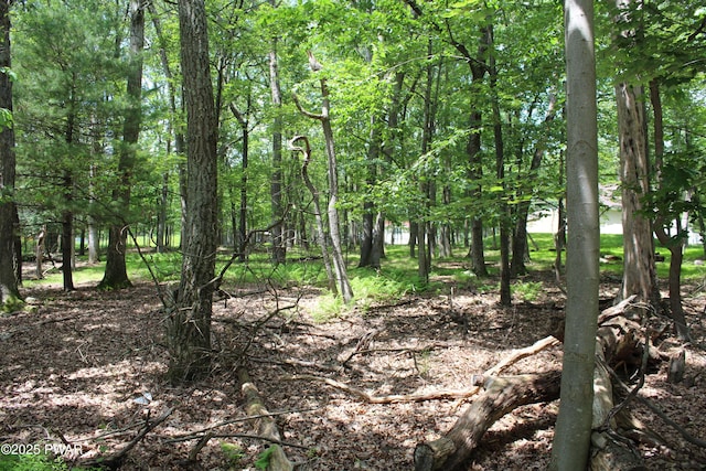 LOT28 N Forrest Dr, Milford, PA 18337