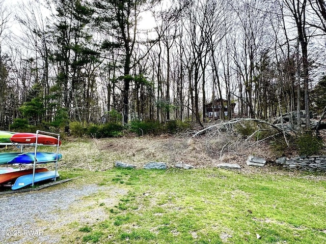 205 Waterview Dr, Lords Valley, PA 18428 - view of yard