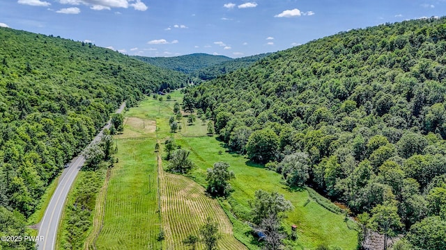 2793 Crosstown Hwy, Starlight, PA 18461 - photo 35