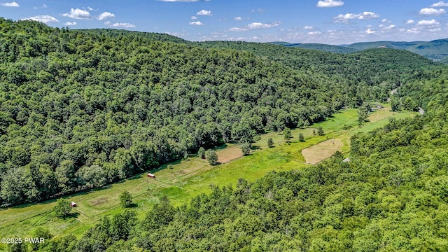 2793 Crosstown Hwy, Starlight, PA 18461 - photo 6