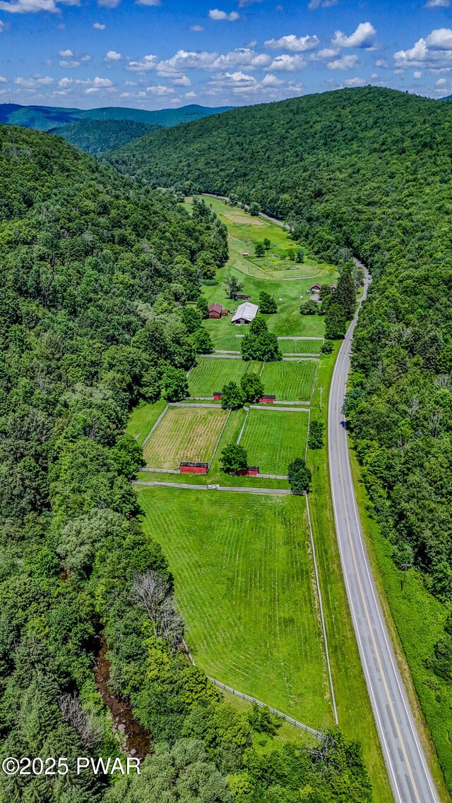 2793 Crosstown Hwy, Starlight, PA 18461 - photo 43