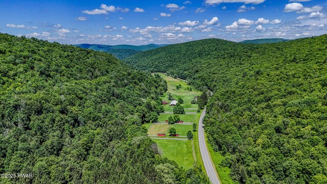 2793 Crosstown Hwy, Starlight, PA 18461 - photo 44