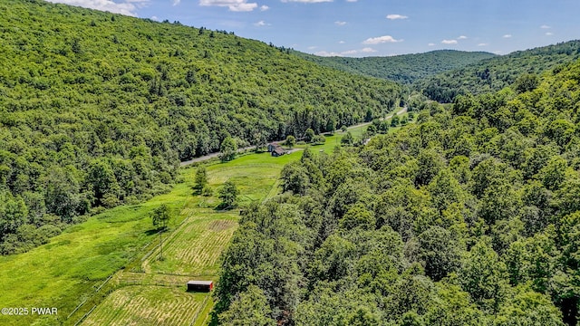 2793 Crosstown Hwy, Starlight, PA 18461 - photo 31