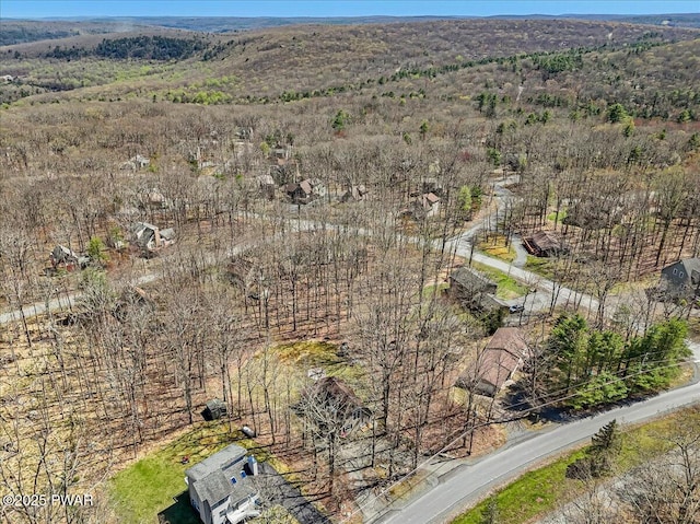 bird's eye view with a forest view