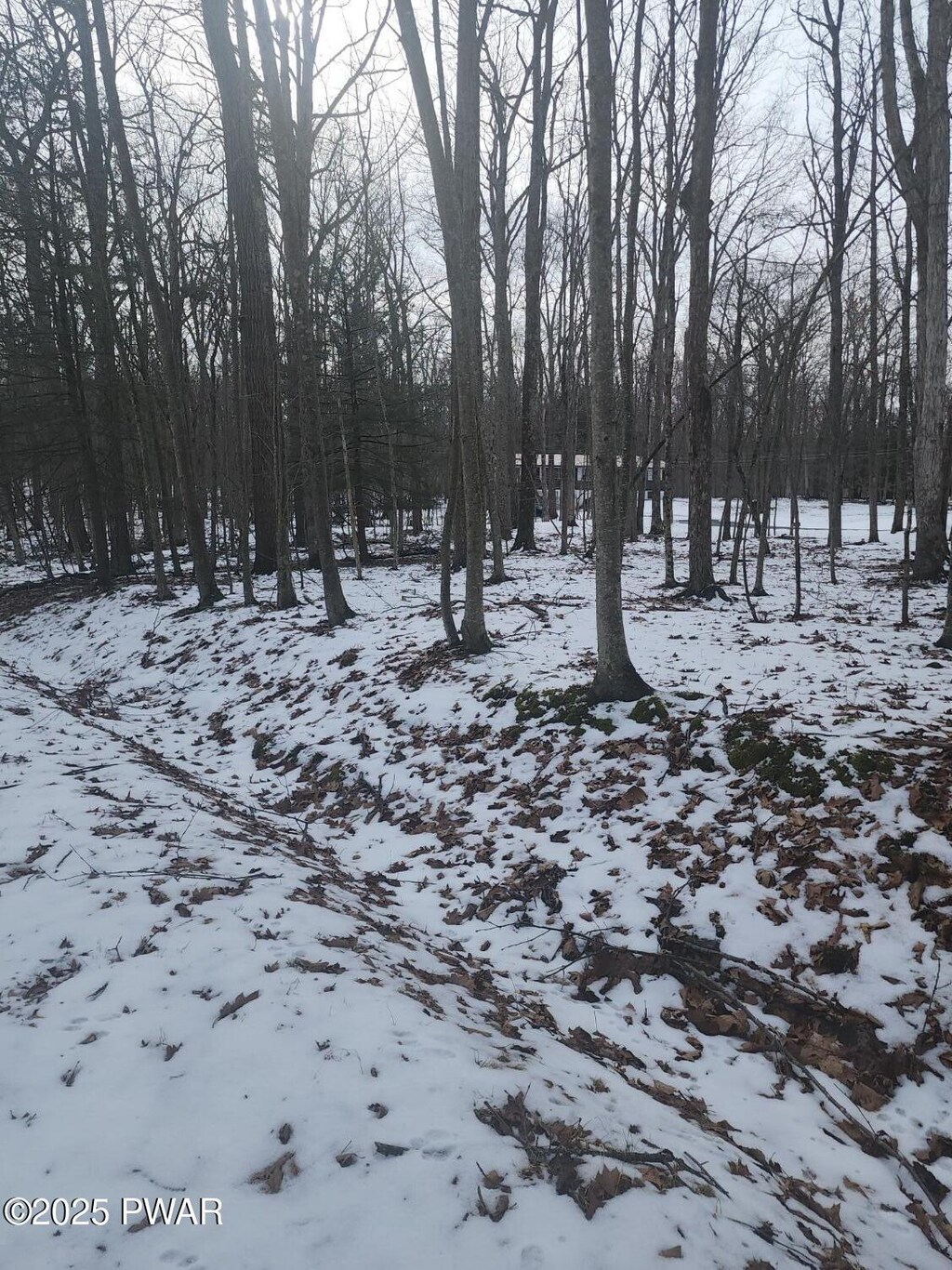 Chamonix Ln, Tafton, PA 18464