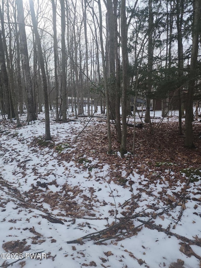 Chamonix Ln, Tafton, PA 18464
