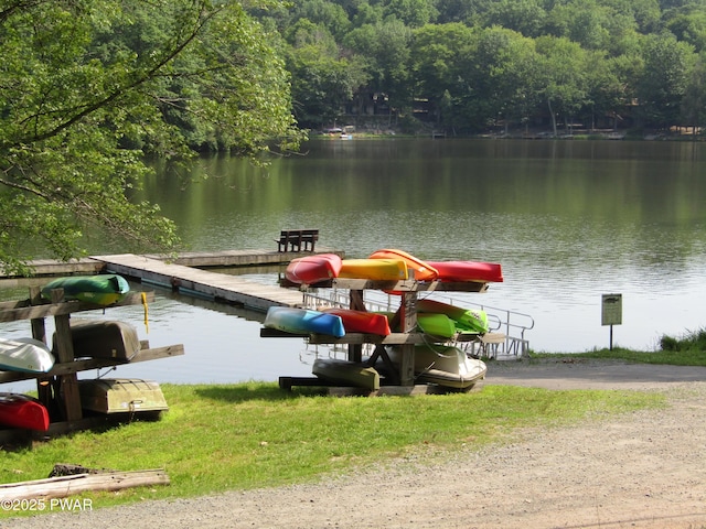 dock area with a water view and a forest view