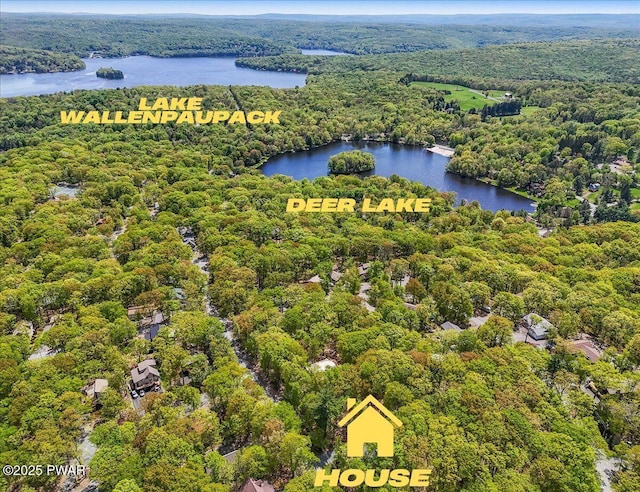 bird's eye view of a forest and a nearby body of water