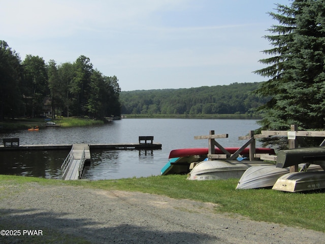 dock area with a forest view and a water view