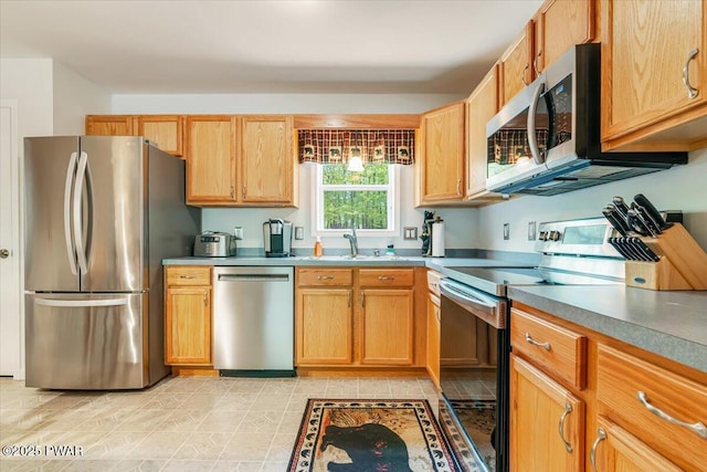 kitchen with appliances with stainless steel finishes and a sink