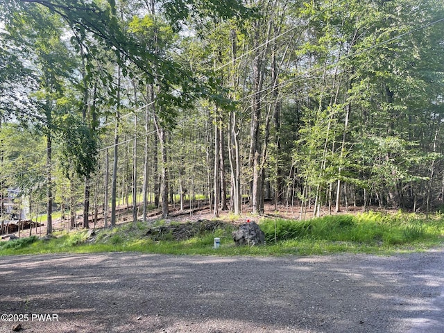 Evergreen Dr, Greentown, PA 18426 - photo 1