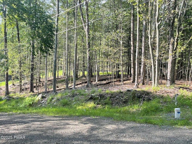 Evergreen Dr, Greentown, PA 18426 - photo 2