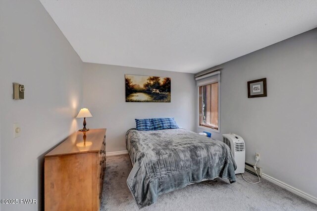 1107 Crest Cir, Lakeville, PA 18438 - carpeted bedroom with baseboards and baseboard heating