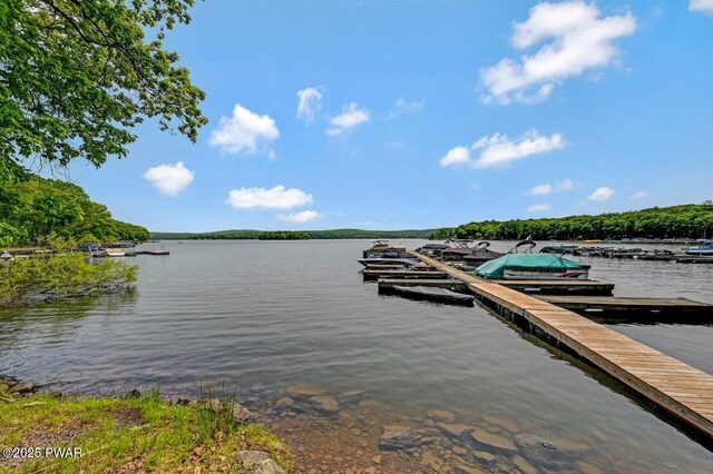 1107 Crest Cir, Lakeville, PA 18438 - dock area featuring a water view