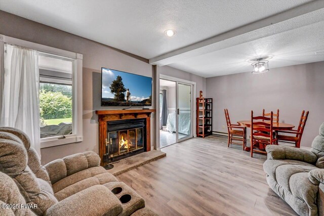 1107 Crest Cir, Lakeville, PA 18438 - living room featuring a glass covered fireplace, wood finished floors, beamed ceiling, and a textured ceiling