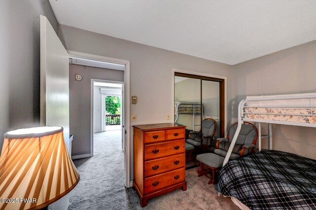 1107 Crest Cir, Lakeville, PA 18438 - bedroom featuring carpet floors and a closet