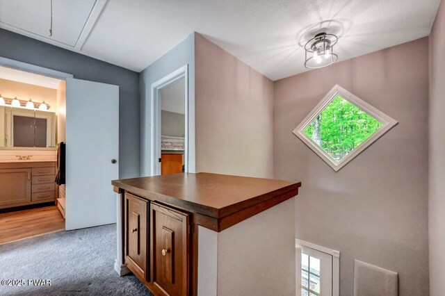 1107 Crest Cir, Lakeville, PA 18438 - hall with attic access, plenty of natural light, light carpet, and a sink