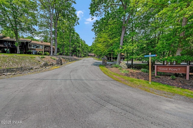 1107 Crest Cir, Lakeville, PA 18438 - view of asphalt road